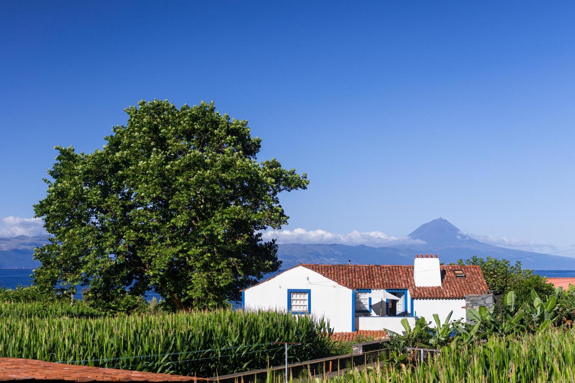 Villa Casas Dos Vimes Faja dos Vimes Exterior foto